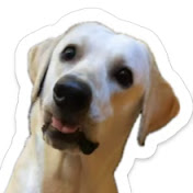 Profile Picture of Fritz Michael Manalili (@fritzmichaelmanalili4852) on Youtube