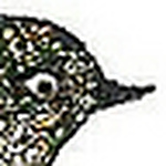 Profile Picture of Teresa Hamilton (@GivingGiftsMI) on Flickr