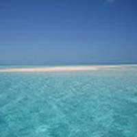Profile Picture of Katy Hutchins (@katy-hutchins-5) on Quora