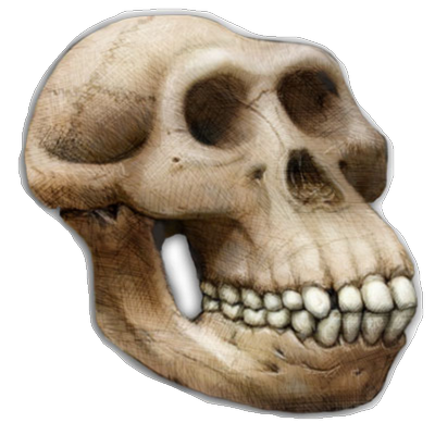 Profile Picture of Joe Renfro (@fossilhound) on Twitter