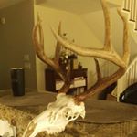 Profile Picture of Parker Stewart Weaver (@parkerstewartweaver) on Instagram