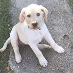 Profile Picture of Justin McGonigal (@jmcgons) on Instagram