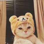 Profile Picture of allan ayala (@allan.ayala92) on Instagram