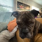 Profile Picture of Bob Book (@Bob-Book) on Facebook