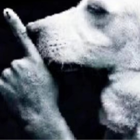 Profile Picture of Jayden Stephens (@luvcougars) on Poshmark