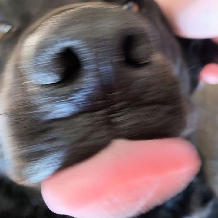 Profile Picture of Marshall (@marshall_copen071706) on Tiktok