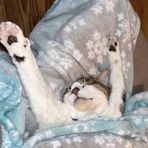 Profile Picture of Jeremy Kuntz (@Jeremy-Kuntz) on Facebook