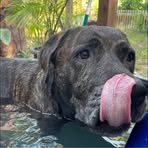 JJ Parenti - Facebook Profile Picture of JJ Parenti (@jeremy.j.parenti) on Facebook