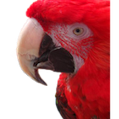 Profile Picture of Books: Olive Moore (@olive_moore) on Twitter