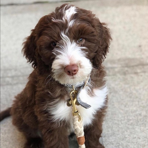 Profile Picture of Kevin Kash (@kevin_kash) on Poshmark