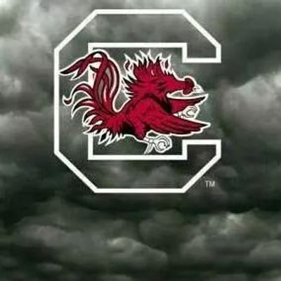 Profile Picture of Leah Wiggins (@wigginsl295) on Twitter