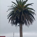 Profile Picture of Julia Hansen (@Julia-Hansen) on Facebook