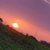 Profile Picture of Leo Murphy (@leomurphy9018) on Youtube