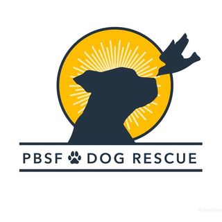 Profile Picture of PBSFDogRescue.org (@pbsfdogrescue) on Instagram