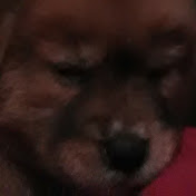 Profile Picture of Jimmy Conner (@jimmyconner8328) on Youtube