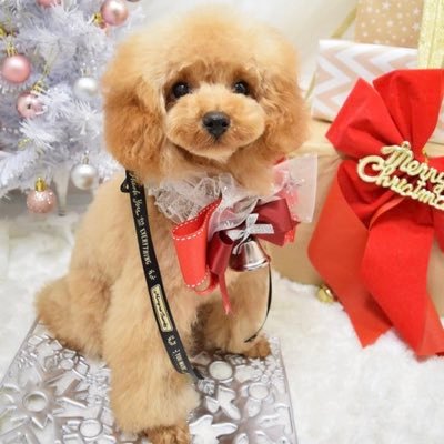 Profile Picture of 後藤　秀成 (@ONhURoveGar7SHa) on Twitter