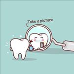 Profile Picture of Dr. David Brody, DMD, PA (@dr.davidbrody) on Instagram