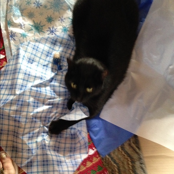 Jan Frisard - Poshmark Profile Picture of Jan Frisard (@janoch) on Poshmark