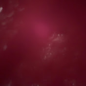 Joshua Frierson - Youtube Profile Picture of Joshua Frierson (@joshuafrierson4228) on Youtube