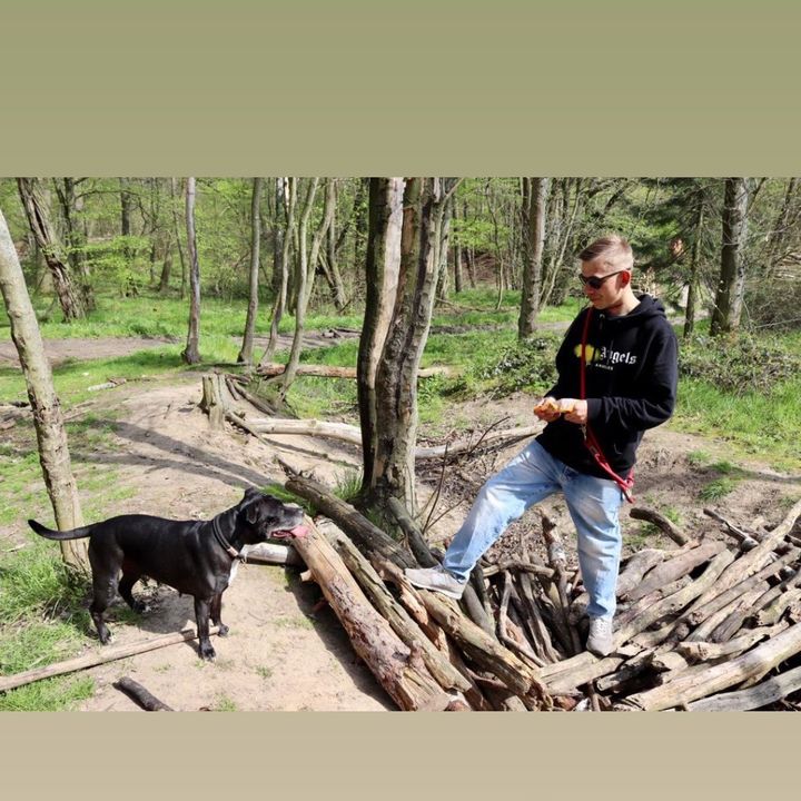 Profile Picture of Enrico Behrends (@enricobehrends1) on Tiktok