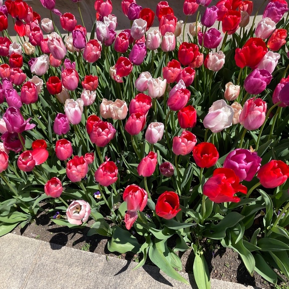 Profile Picture of Glaiza Lanuza (@glaiza_lanuza) on Poshmark