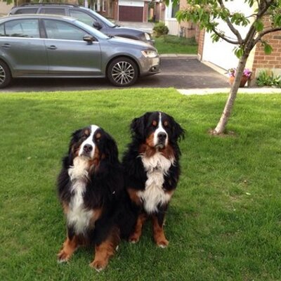 Profile Picture of Scott Frankland (@frankland_s) on Twitter