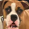 Profile Picture of Paul Schenck969 (@paulschenck969) on Tiktok