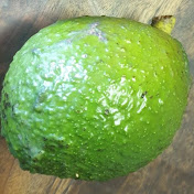 Profile Picture of Matthew Blaine Joubert (@matthewblainejoubert308) on Youtube