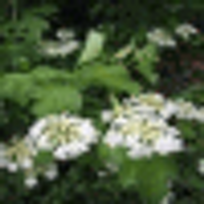 Profile Picture of George Cuevas (@yolyi12) on Twitter