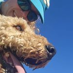 Profile Picture of Janna DeMott Stubbs (@jannastubbs) on Instagram