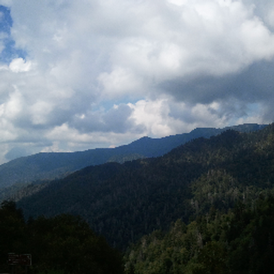 Profile Picture of Sean McReynolds (@seanmobx) on Twitter