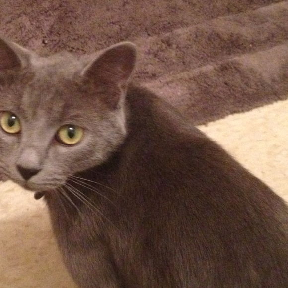 Profile Picture of Sam Brock (@samib1976) on Poshmark