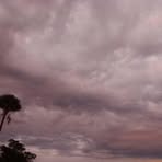 Profile Picture of Mark Pronti (@Mark-Pronti) on Facebook