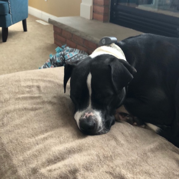 Profile Picture of Sara Glass (@seglass2004) on Poshmark