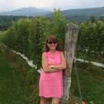 Profile Picture of Sandra McLaughlin (@smclaughlin1515) on Instagram