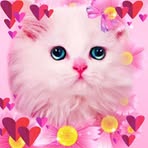 Profile Picture of Tóth Emília (@Tóth-Emília) on Facebook