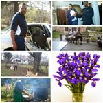 Profile Picture of Larry Lydia Davis (@larrylydiadavis) on Instagram