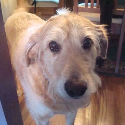 Profile Picture of Ken Levitt (@kenlevitt1) on Twitter