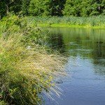 Profile Picture of Joanie (@joaniehensloweij) on Instagram