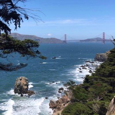 Profile Picture of Carolyn R (@CarolynRees16) on Twitter