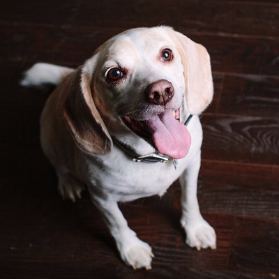 Profile Picture of Matthew Gaul (@MatthewGaul) on Twitter