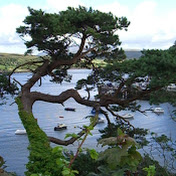 Profile Picture of Robbie Perry (@robbieperry6449) on Youtube