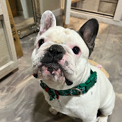 Profile Picture of Cole Keller (@colekeller5308) on Youtube