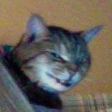 Profile Picture of Marcella Walsh (@MarcellaWalsh09) on Twitter