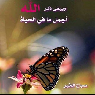 Profile Picture of Walid Sayad (@Walid-Sayad) on Facebook