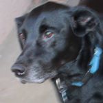 Profile Picture of Donna Player (@donnaplayer) on Instagram