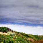 Profile Picture of coreylinnea (@coreylinneas) on Instagram