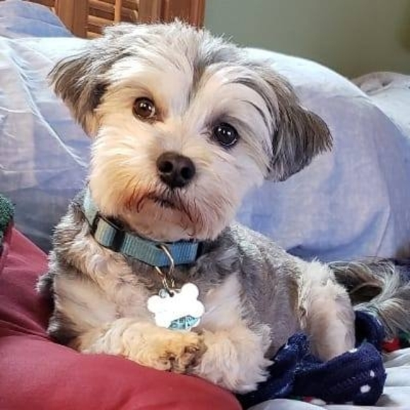 Profile Picture of Rees Davies (@rees107) on Poshmark