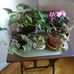 Profile Picture of Jean Bernardo (@jean.bernardo.50702769) on Facebook