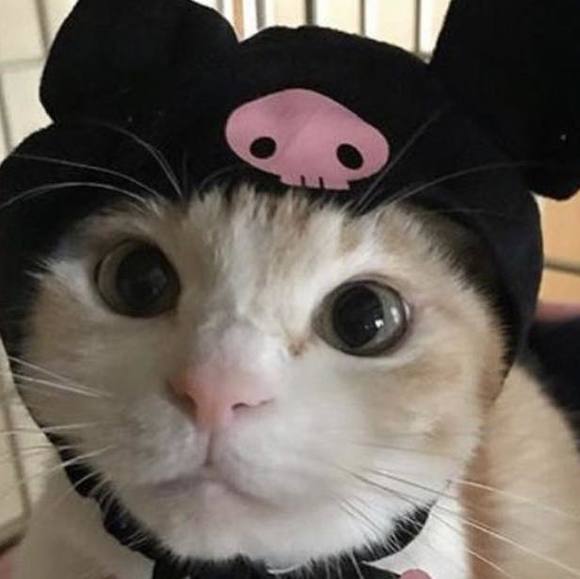 Profile Picture of Madison Schanen (@madisonschanen) on Poshmark